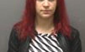 LENIUS, ANDREA HEATHER | 2017-11-14 Iowa County, Wisconsin Booking