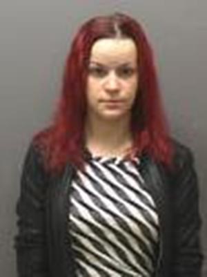 LENIUS, ANDREA HEATHER #, Iowa County, Wisconsin - 2017-11-14