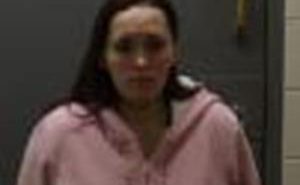 FOSTER, JEANNE MARIE | 2017-11-14 Iowa County, Wisconsin Booking