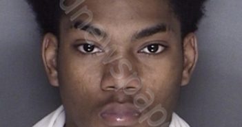 BAUDOIN, TREVIS LADAVION | 2017-11-17 18:46:00 Ellis County, Texas Booking