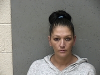 FERGUSON PAMALA DEE | 2017-11-17 Gratiot County, Michigan Booking