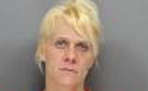 HUDSON, VICTORIA ROSE | 2017-11-19 Clearwater County, Idaho Booking