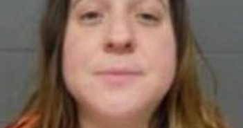 AMANDA JOHNSON | 2017-11-19 10:46:00 Delaware County, New York Booking
