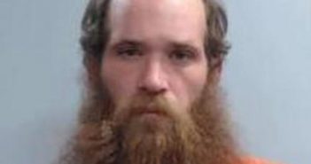 DAVID WIGAND | 2017-11-19 17:22:00 Fayette County, Kentucky Booking