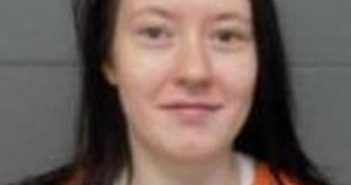 ANDREA ENDRES | 2017-11-19 13:23:00 Delaware County, New York Booking