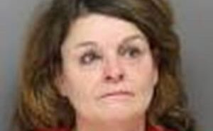 ESLINGER, LORRAINE LARAY | 2017-11-20 Clearwater County, Idaho Booking