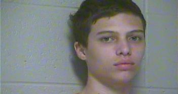 RILEY AUSTIN ENGREM | 2017-11-20 20:14:00 Woodford County, Kentucky Booking