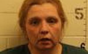 APPLEGARTH, STEPHANIE ELAINE | 2017-11-21 Union County, South Dakota Booking