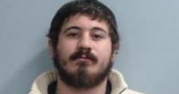 TYELUR VINCE | 2017-11-21 16:25:00 Fayette County, Kentucky Booking