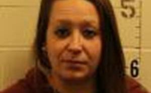 LOVEGREEN, TANISHA LYNN | 2017-11-22 Union County, South Dakota Booking