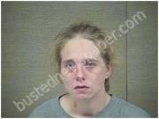 UNDERHILL, STEPHANIE | 2017-11-22 Harnett County, North Carolina Booking