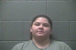 MEGAN LOUISE ELDER | 2017-11-25 21:26:00 Rsw Regional Jail, Virginia, RSW Regional Jail, Virginia Booking