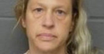 MARY ELLEN CHUKOLOSKI | 2017-11-26 21:19:00 Delaware County, New York Booking