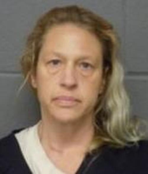 MARY ELLEN CHUKOLOSKI #, Delaware County, New York - 2017-11-26 21:19:00