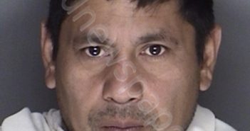 LOPEZ, IRVIN | 2017-11-30 04:44:00 Ellis County, Texas Booking