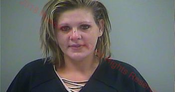 YEVONDA K WILLIAMS | 2017-12-01 16:46:00 Russell County, Kentucky Booking