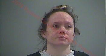 LAUREN A WILSON | 2017-12-01 15:55:00 Russell County, Kentucky Booking
