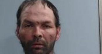 MICHAEL STEVENS | 2017-12-02 20:55:00 Fayette County, Kentucky Booking