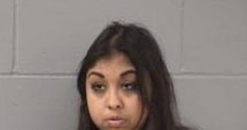 MELISSA VILLARREAL MORENO | 2017-12-04 12:46:00 Hardin County, Iowa Booking