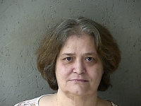 JOHNSON CINDY LOU | 2017-12-05 Gratiot County, Michigan Booking