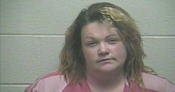 <B>SHONDA</B> RENE WORKMAN-<B>HILL</B> #, Giles County, Tennessee - 2017-12-07 01:24:00