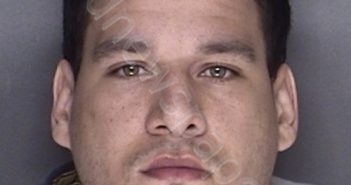 MCDANIEL, WINSTON LUKE | 2017-12-12 17:03:00 Ellis County, Texas Booking