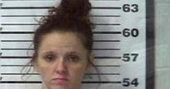 ELISHA KIRK | 2017-12-13 10:20:00 Gibson County, Tennessee Booking