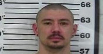 MICHAEL HARRIS | 2017-12-14 09:41:00 Gibson County, Tennessee Booking