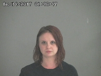 YOUNG JESSICA L | 2017-12-14 Sandusky County, Ohio Booking