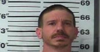 DAVID LEE | 2017-12-14 10:31:00 Gibson County, Tennessee Booking