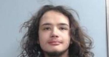 WILLIAM TIBBS | 2017-12-17 03:14:00 Fayette County, Kentucky Booking