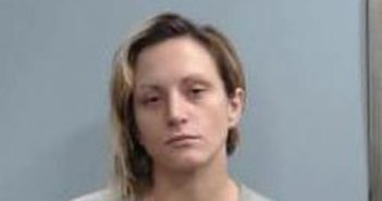 COURTNEY SHEENE | 2017-12-19 21:28:00 Fayette County, Kentucky Booking