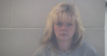 JILL MICHELLE DAVIDSON | 2017-12-19 11:15:00 Pulaski County, Kentucky Booking