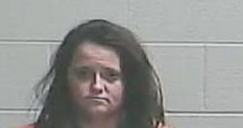 SARAH KEESE | 2017-12-19 13:30:00 Lincoln County, Tennessee Booking