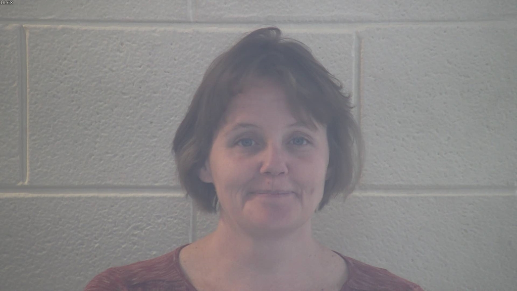 HEATHER MICHELLE SHROUT #, Pulaski County, Kentucky - 2017-12-21 11:08:00