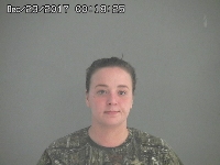 SANFORD CHRISTINA F | 2017-12-22 Sandusky County, Ohio Booking
