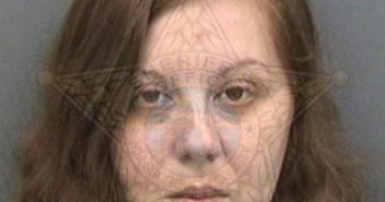 <B>GONZALES</B>, SARA <B>MICHELLE</B> #, Hillsborough County, Florida - 2017-12-26 10:15:00