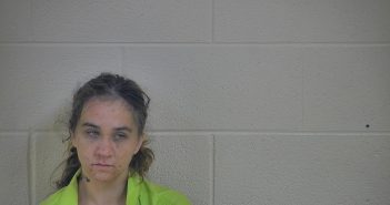 RACHEL GASKINS | 2017-12-28 20:39:00 Taylor County, Kentucky Booking