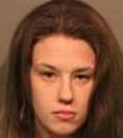 SHELBY KARSCHNER #, Tompkins County, New York - 2017-12-28 04:04:00