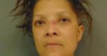 BRENDA WILDS | 2017-12-31 22:36:00 Vermillion County, Indiana Booking