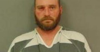 SHAUN BACON | 2017-12-31 16:43:00 Vermillion County, Indiana Booking