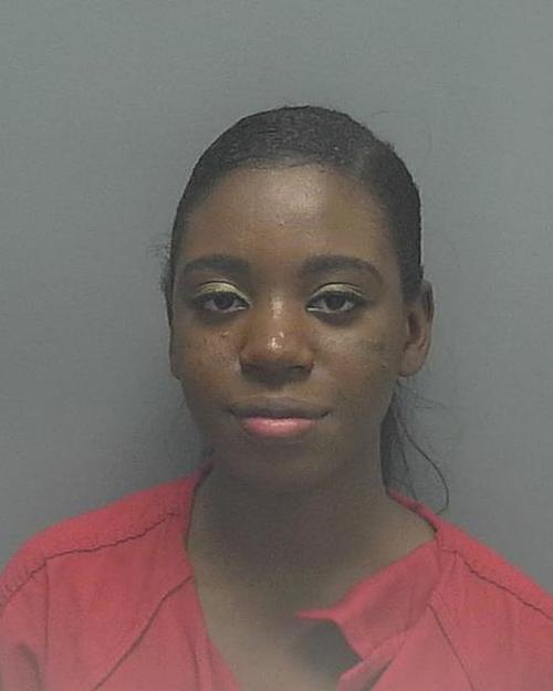CASTOR, BRITNEY #, Lee County, Florida - 2018-01-01 23:03:00