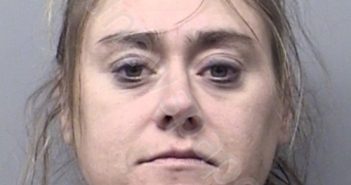 BYRD, ERIN MICHELLE | 2018-01-01 Wise County, Texas Booking