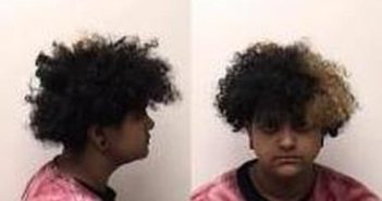 ALIZE JOHNSON | 2018-01-03 03:51:00 Clark County, Indiana Booking