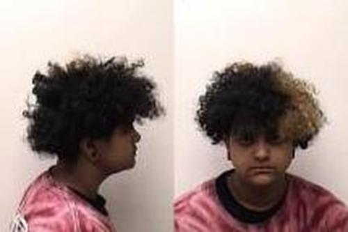 ALIZE JOHNSON #, Clark County, Indiana - 2018-01-03 03:51:00