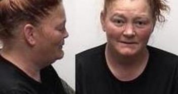 PAMELA HOLLAND | 2018-01-03 19:37:00 Clark County, Indiana Booking