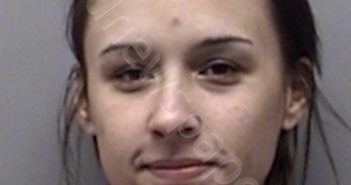 JOHNSON, ROSE ANN | 2018-01-09 Wise County, Texas Booking