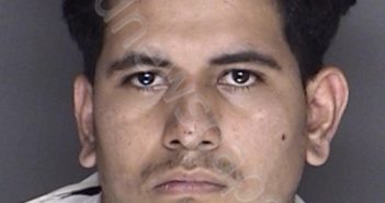 RAMOS, OMAR ALEJANDRO | 2018-01-09 23:46:00 Ellis County, Texas Booking