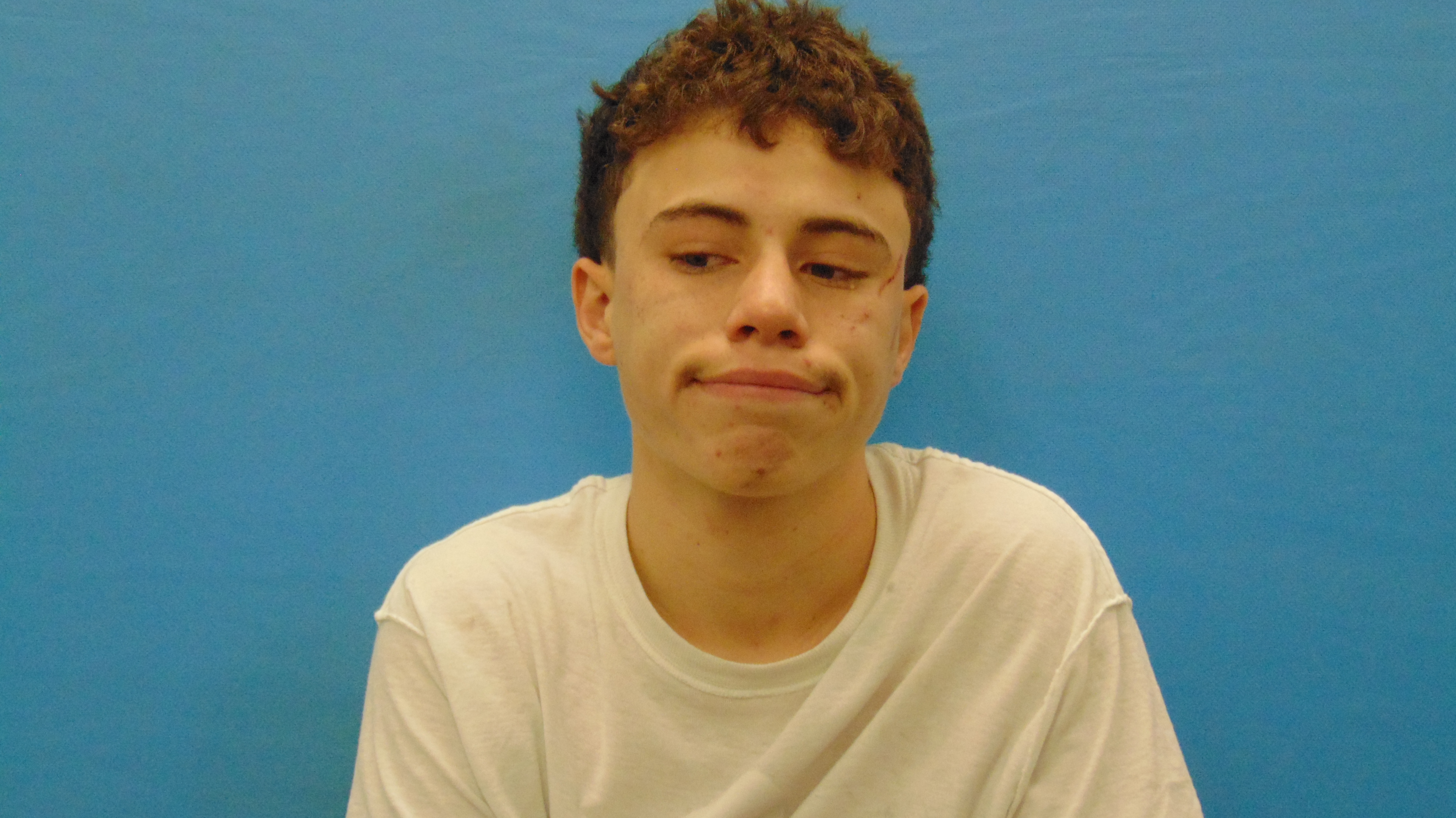 OLVERA, ROBERTO JAMES #, Guadalupe County, Texas - 2018-01-10