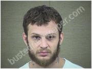 WELLS, BRANDON | 2018-01-25 Harnett County, North Carolina Booking